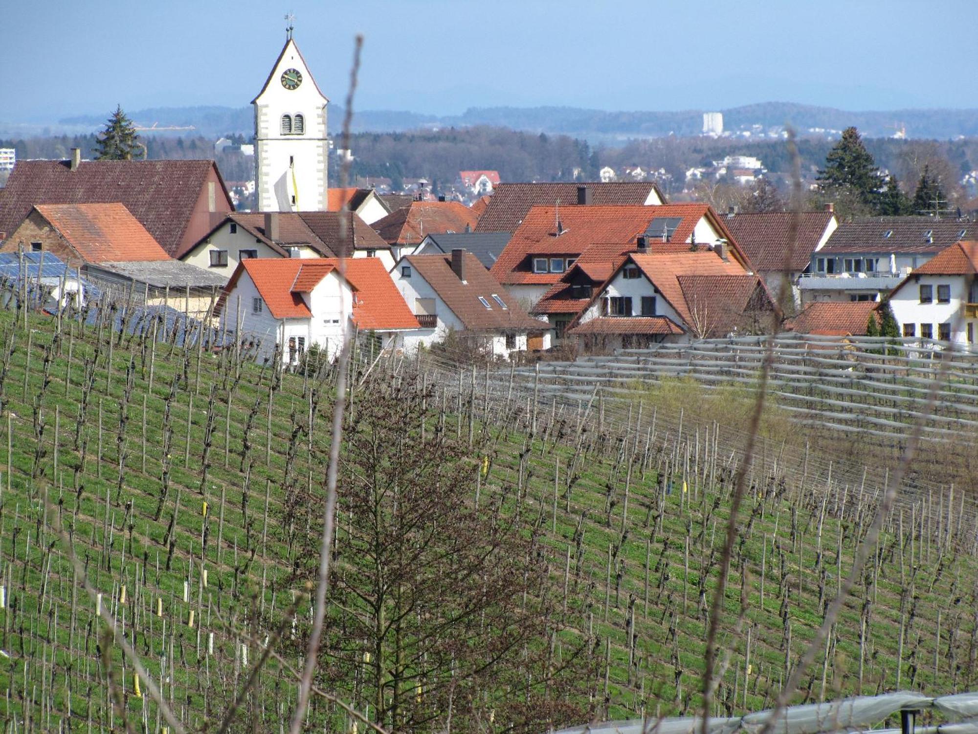 Obst- Ferienhof Ragg Immenstaad am Bodensee Buitenkant foto