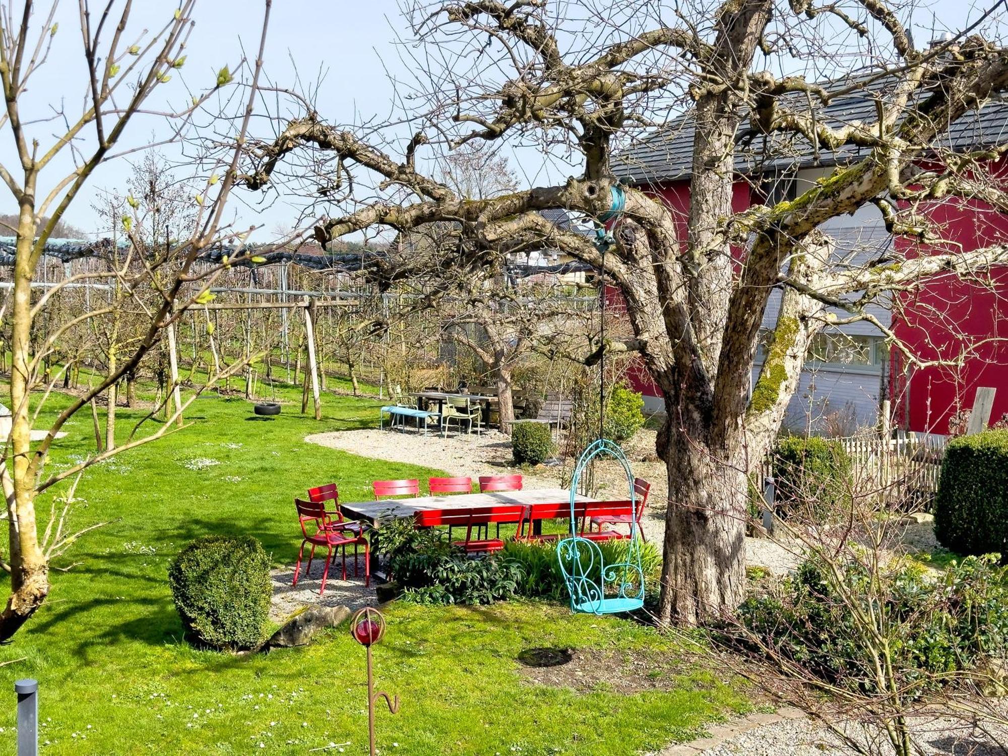 Obst- Ferienhof Ragg Immenstaad am Bodensee Buitenkant foto