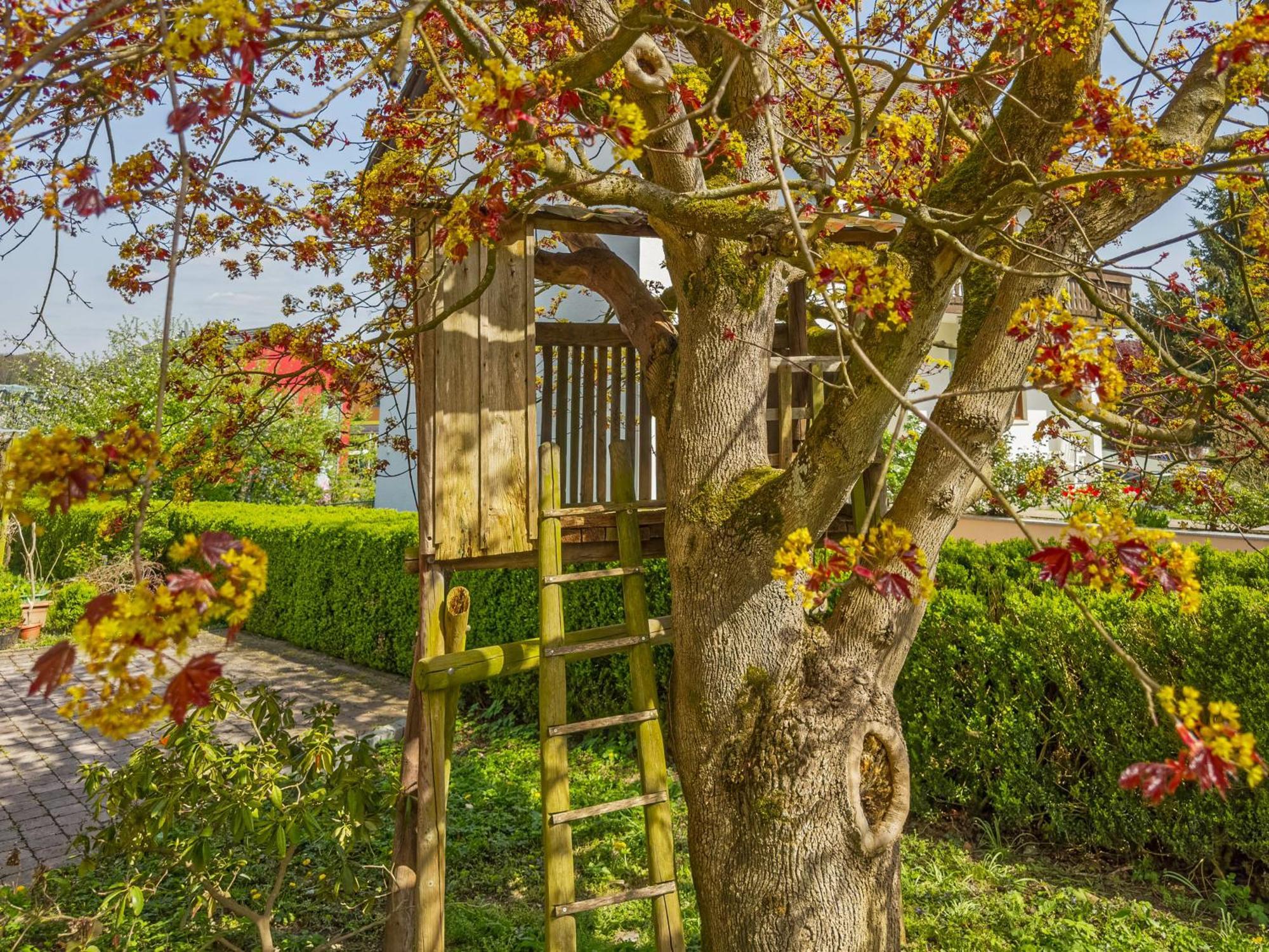Obst- Ferienhof Ragg Immenstaad am Bodensee Buitenkant foto
