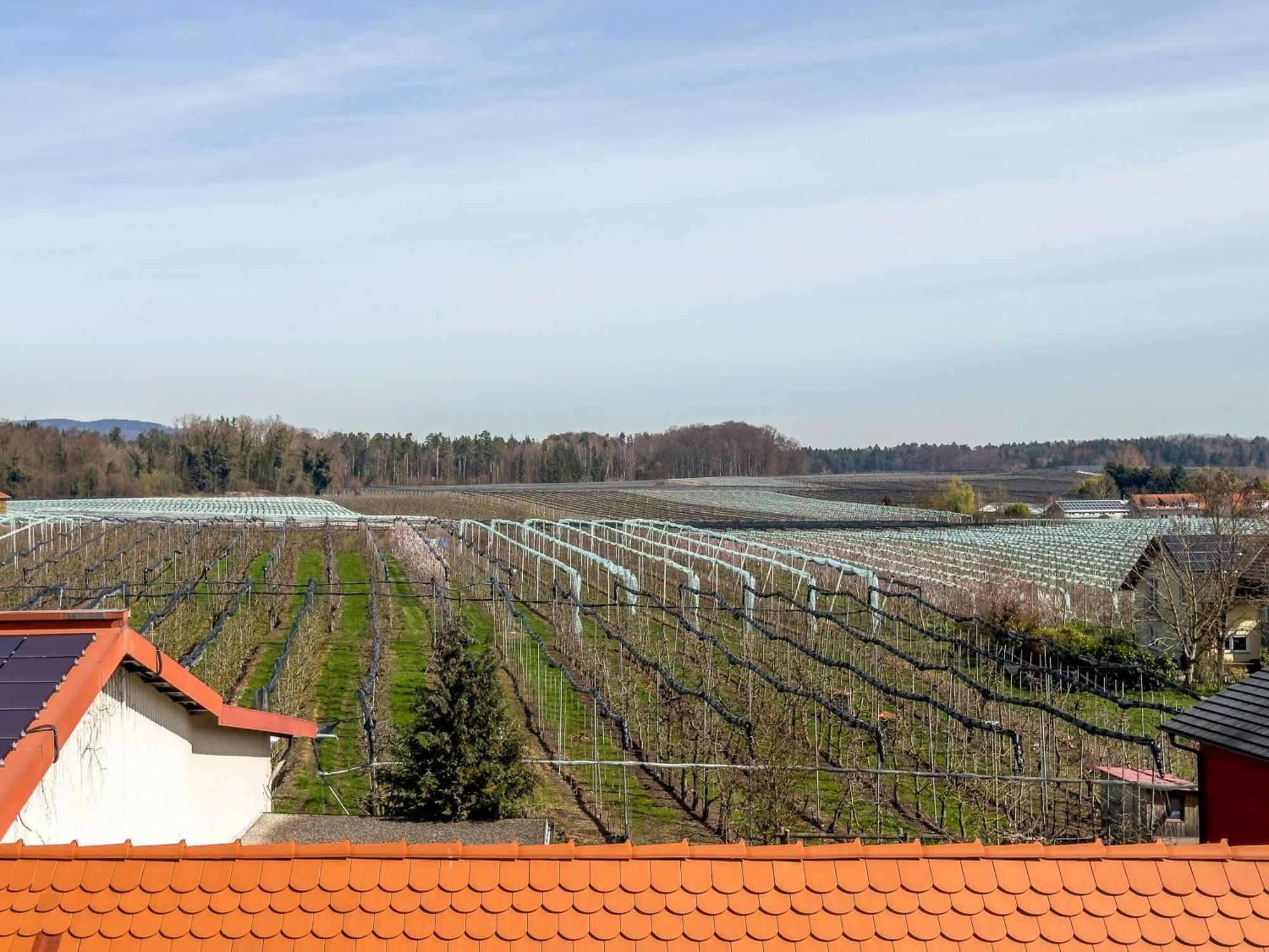 Obst- Ferienhof Ragg Immenstaad am Bodensee Buitenkant foto